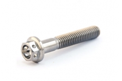 Titanium Bolts Titanium Cylinder Head Bolt